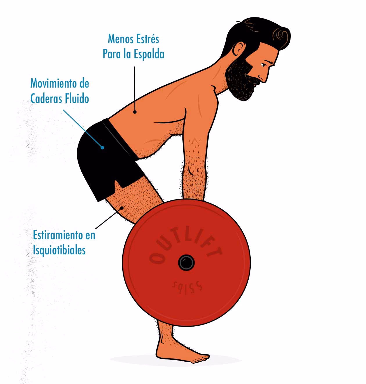 ¿Cómo aumentar la fuerza si eres ectomorfo?