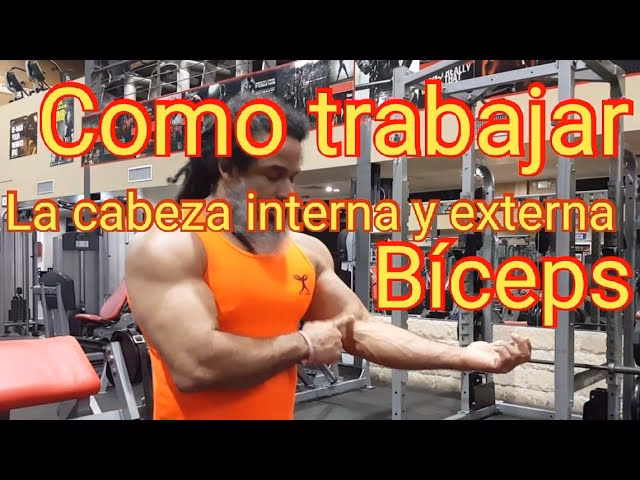 ¿Cómo entrenar el bíceps corto?