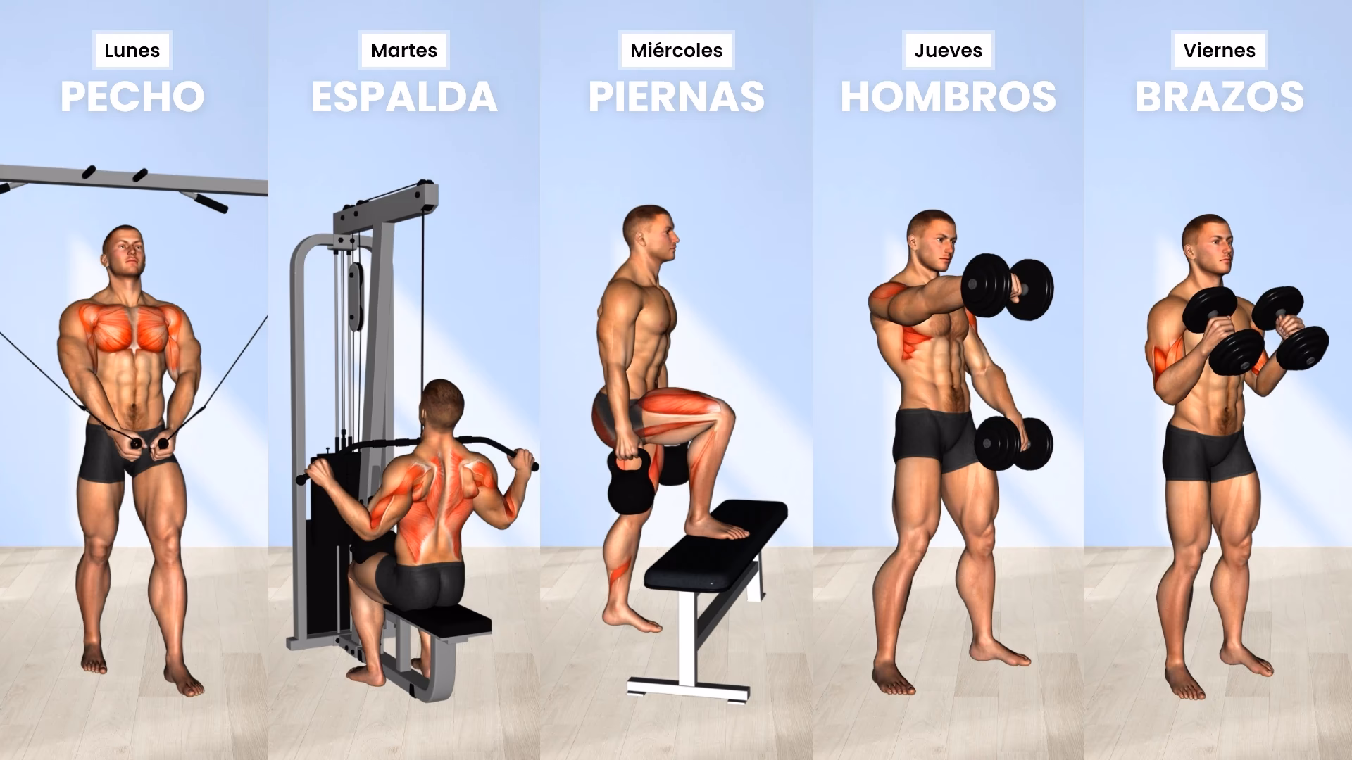 ¿Cómo ponerse en forma sin vergüenzas en el gimnasio?