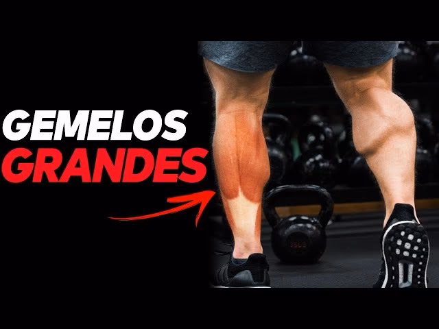 ¿Cómo puedo entrenar gemelos sentados?