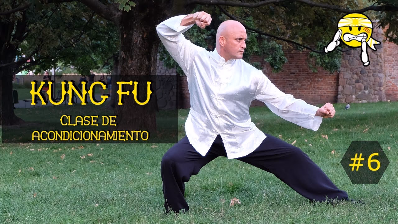 ¿Cómo aprender kung fu con rapidez?