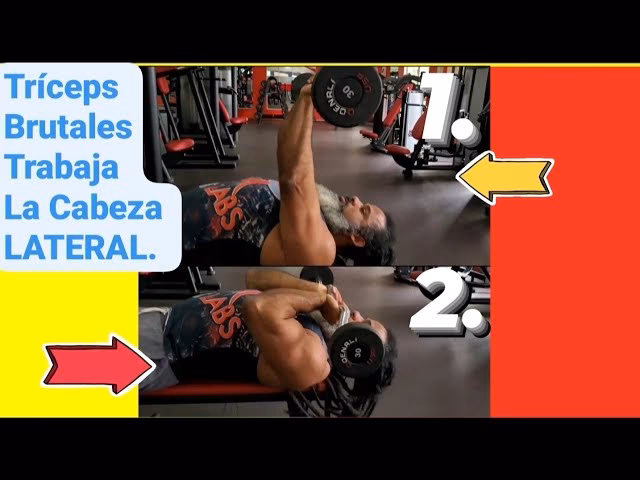 ¿Cómo se entrenan los tríceps?