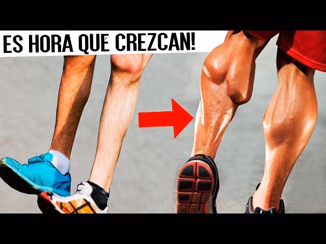 ¿Cómo conseguir unas pantorrillas más grandes?
