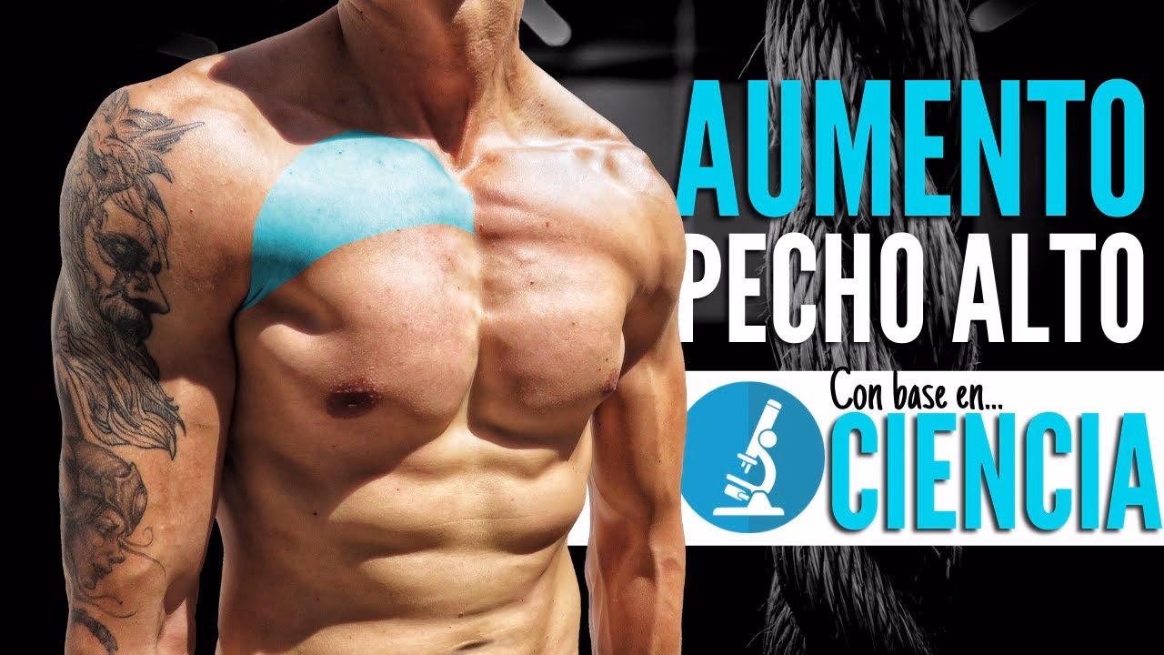 ¿Cuáles son los mejores ejercicios de pecho para entrenar tus pectorales?