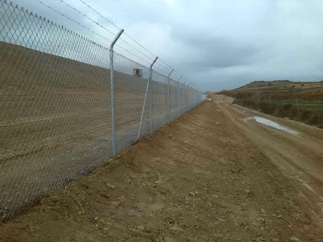 ¿Cuáles son las consecuencias de los jabalíes?