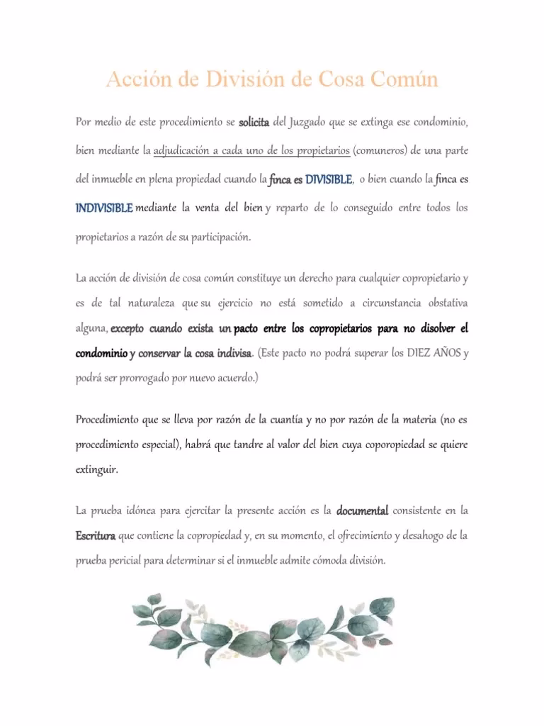 ¿Cómo solicitar la división de la cosa común?