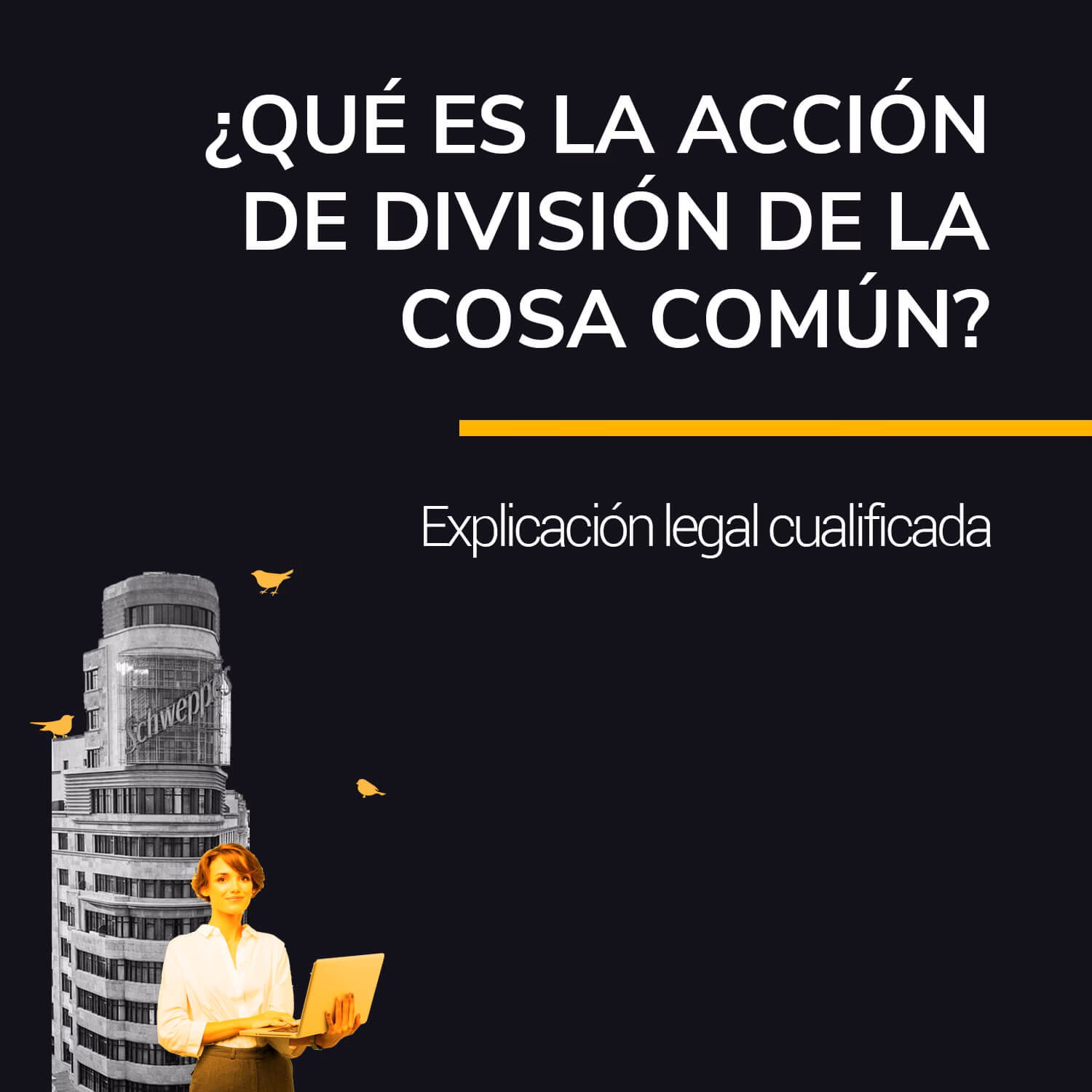 ¿Qué es el procedimiento judicial de División de la cosa común?