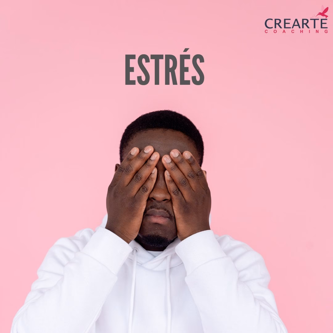 ¿Cómo contactar con crearte coaching?