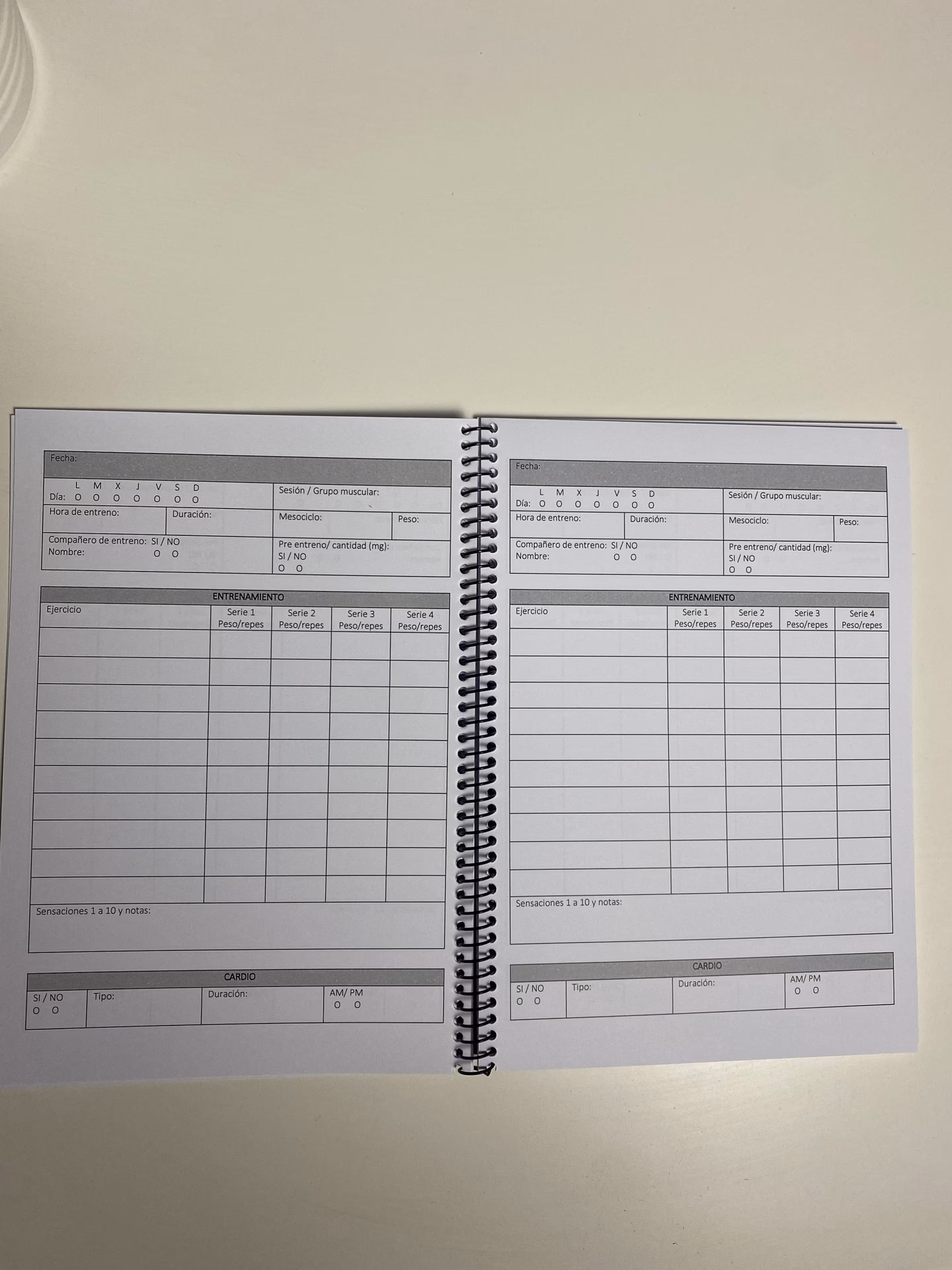 ¿Cómo hacer un entrenamiento de ejercicios?