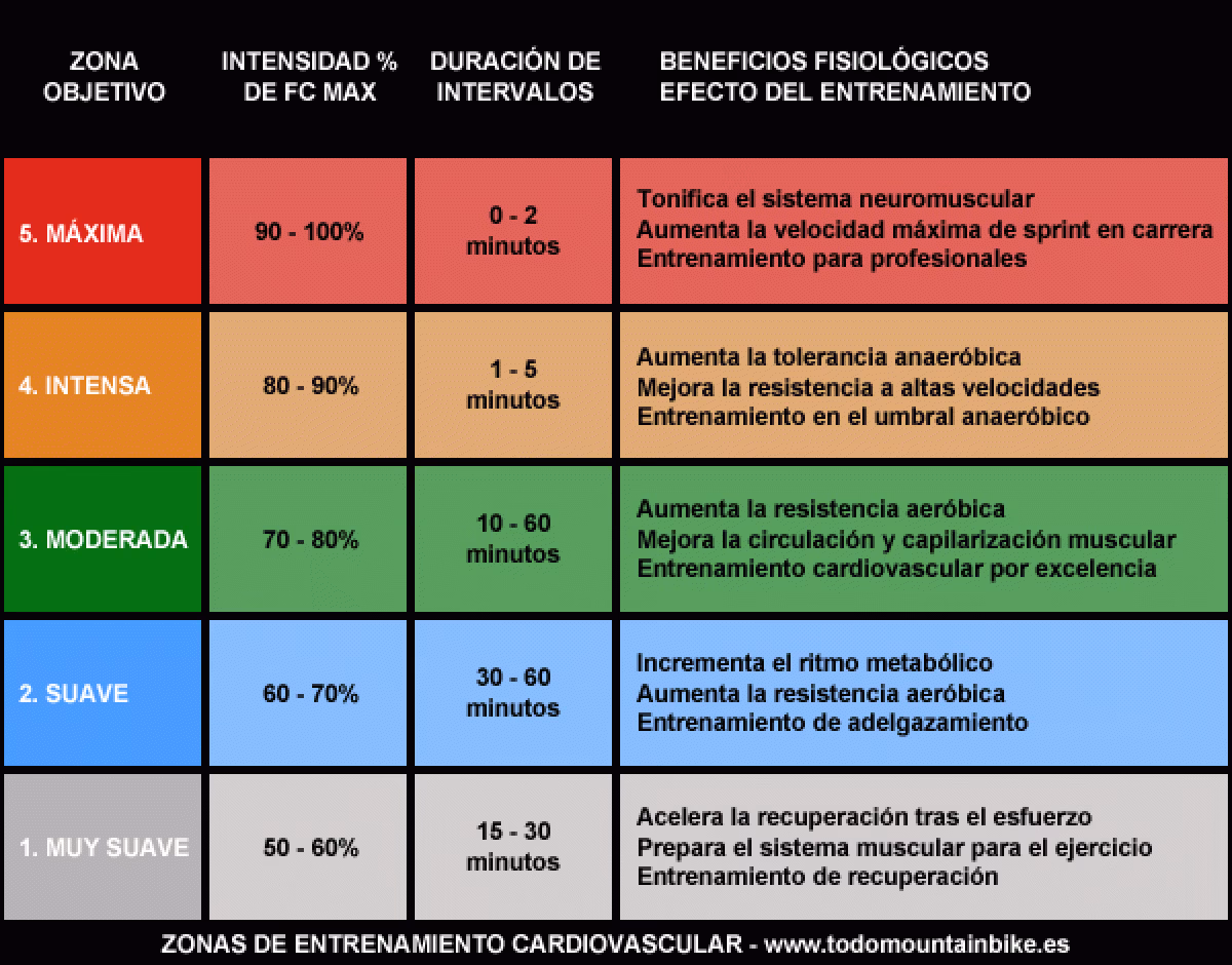 ¿Cuál es la zona de entrenamiento más adecuada?