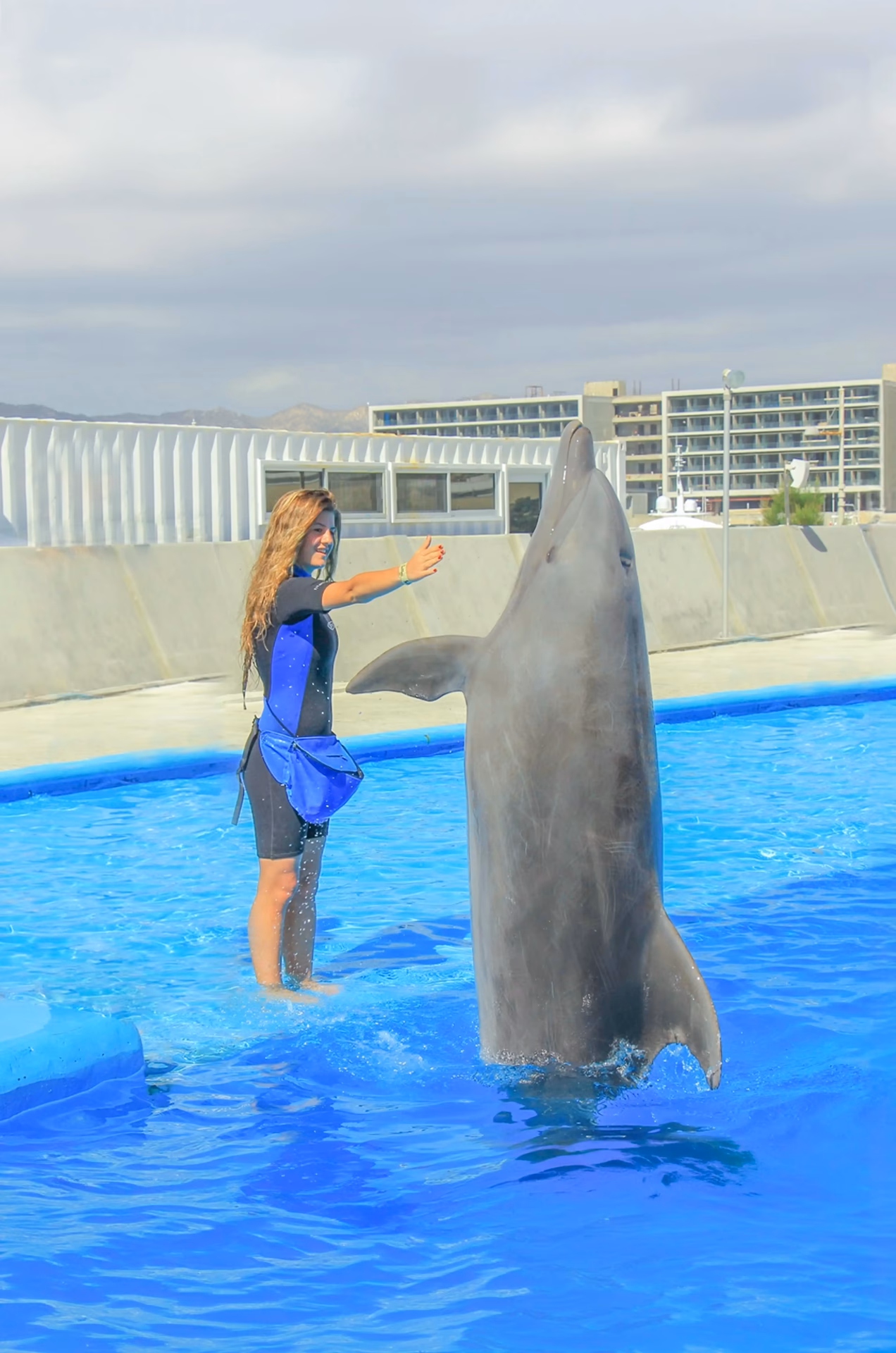¿Qué hace un entrenador de delfines?