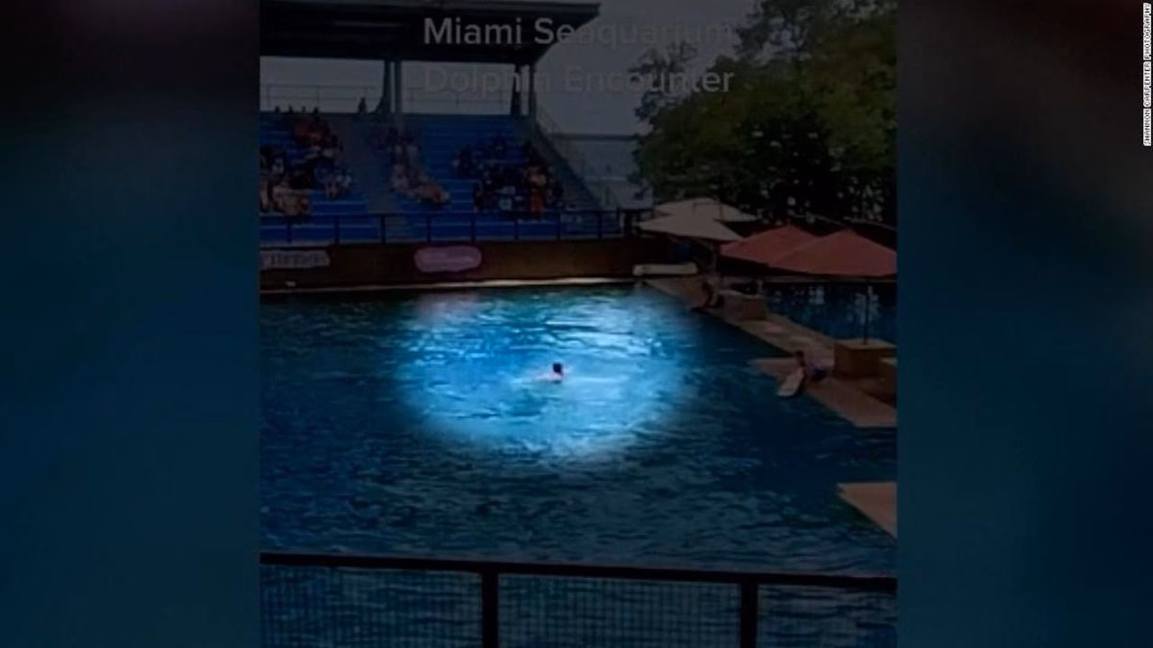 ¿Qué hacer con el entrenador de delfines y su delfín?