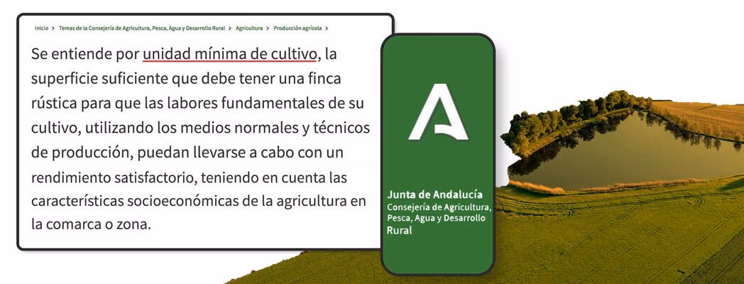 ¿Quién es el titular de la finca contigua objeto del deslinde?