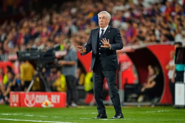 ¿Cuáles son los derechos del director técnico?