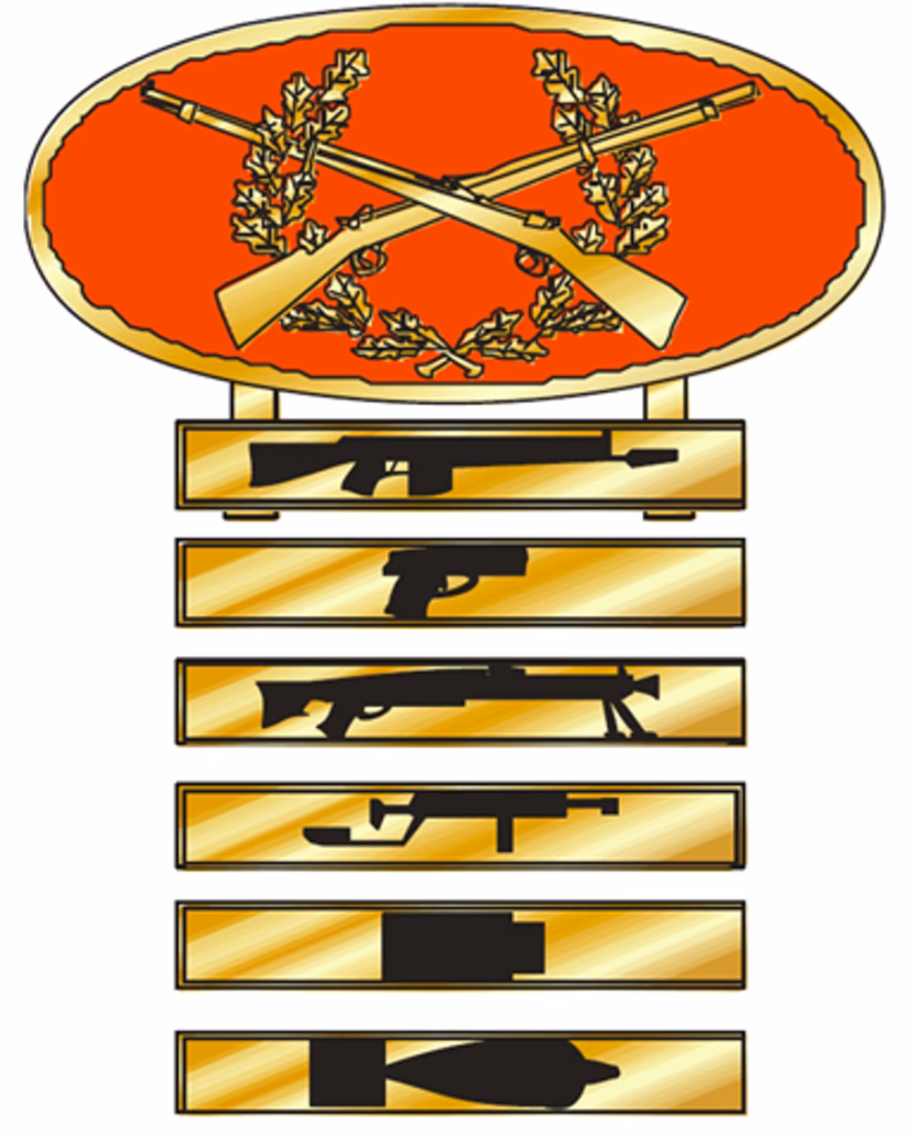 ¿Cuáles son los distintivos del Ejército de tierra?