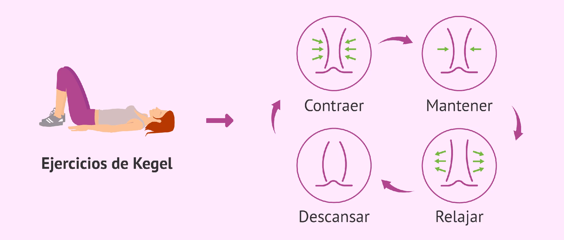 ¿Qué es el líquido expulsado por las glándulas de Skene?
