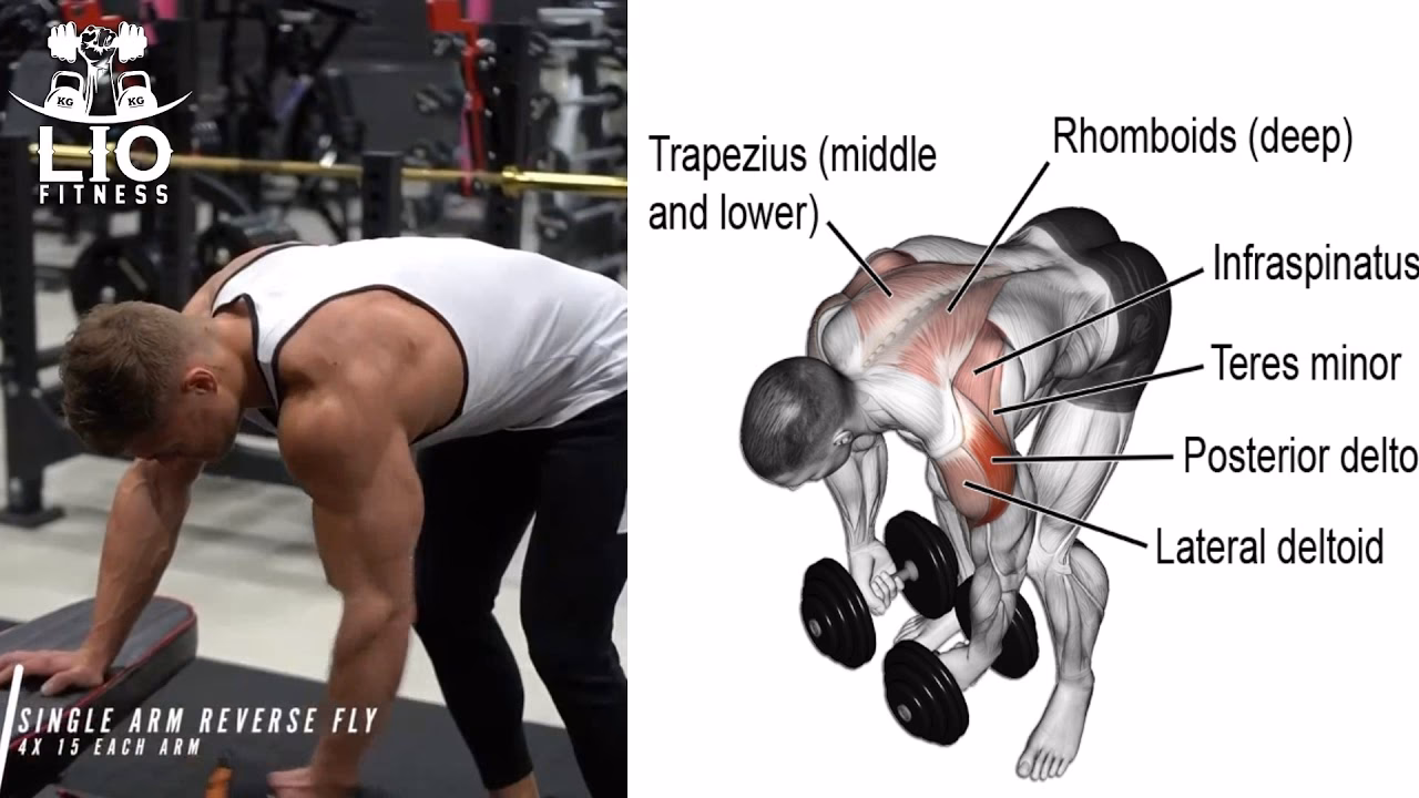 ¿Cuáles son las ventajas de usar mancuernas para entrenar los hombros?