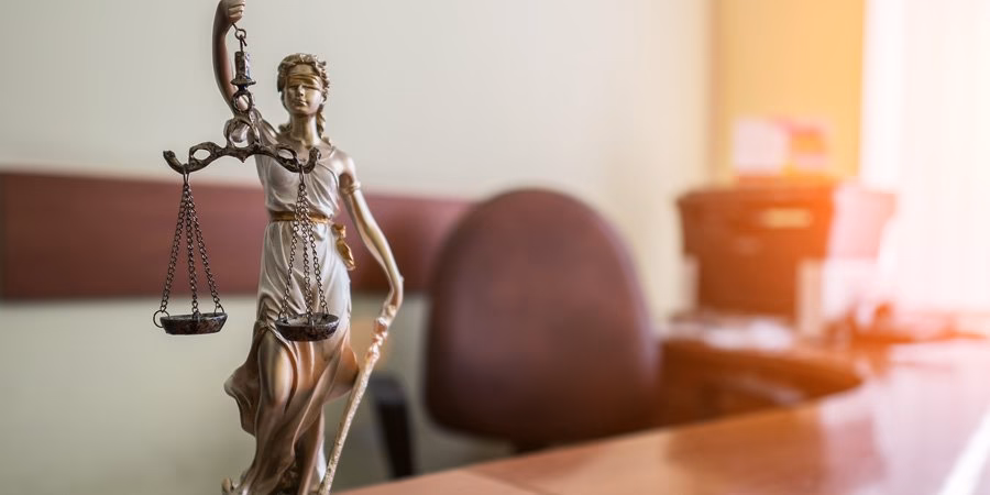 ¿Quién puede ejercitar la acusación popular?