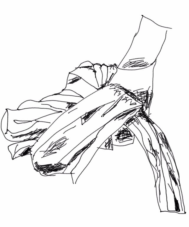 ¿Cuál es el lado derecho del cerebro?