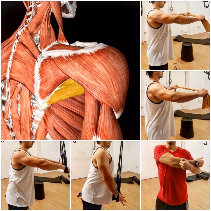 ¿Cuál es el mejor ejercicio para el subescapular?