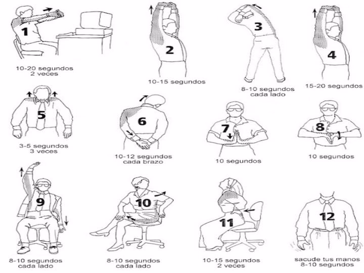 ¿Cuáles son las partes del cuerpo que deberías ejercitar a diario?