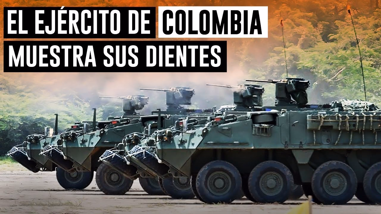 ¿Por qué el ejército no ha realizado alta de pistolas, rifles y escopetas?