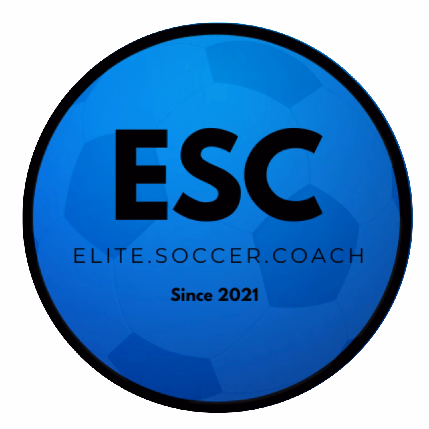 What is the Elite Soccer Coaching Award?
