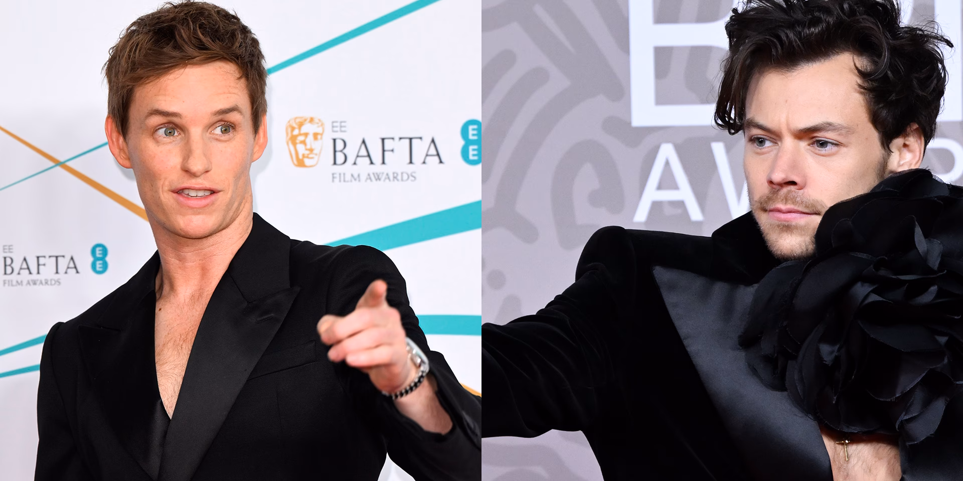 ¿Cuál es la carrera de Harry Styles?