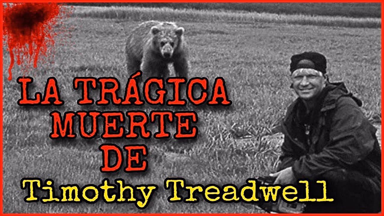 ¿Por qué Treadwell comenzó a estudiar a los osos grizzly?