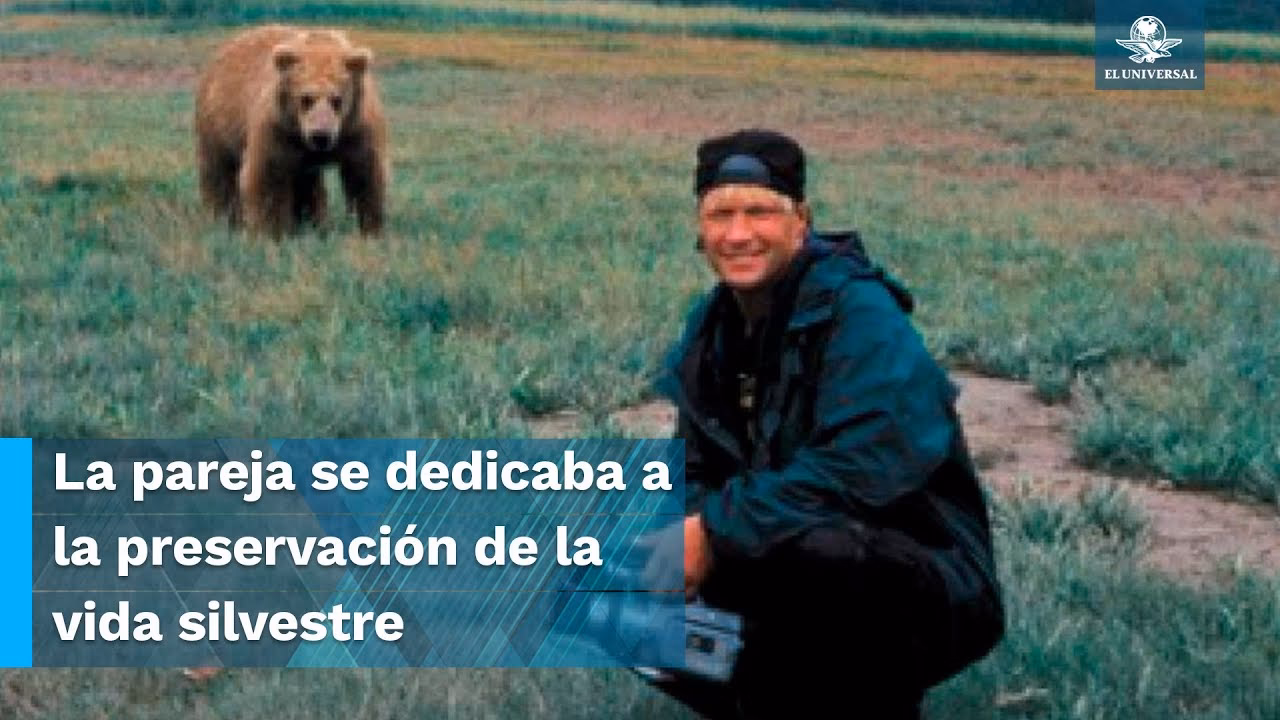 ¿Por qué los jóvenes capturaron un oso vivo?