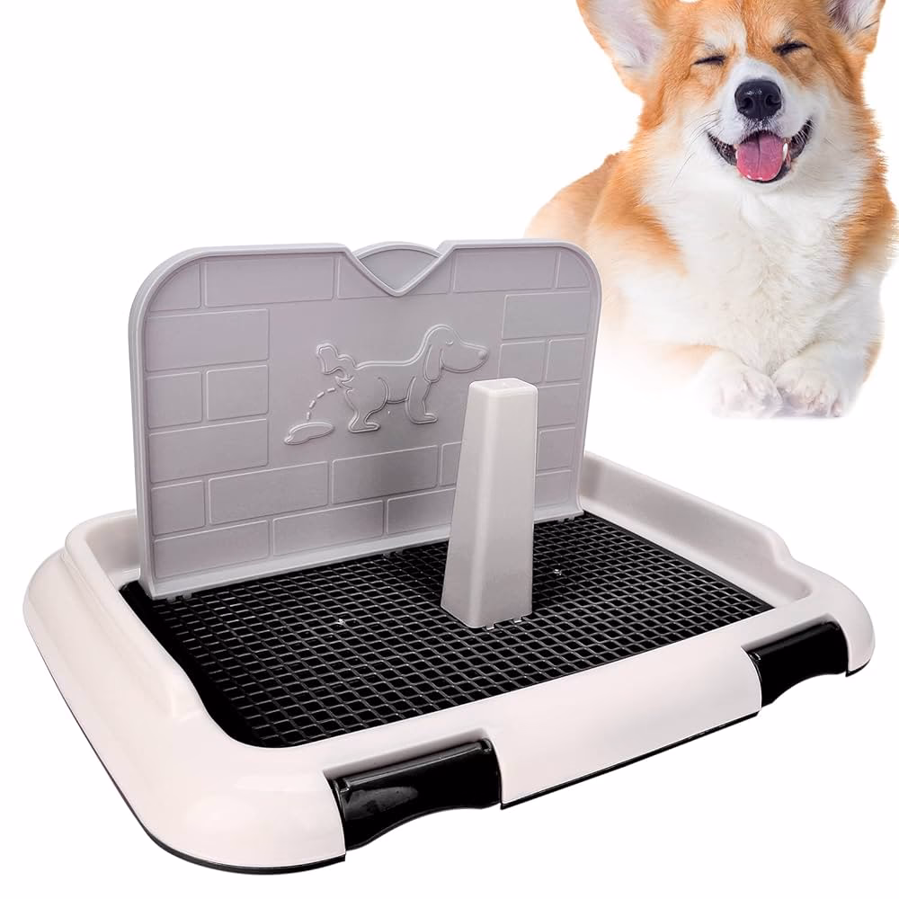 ¿Qué ofrece nuestro baño para perros y equipo?