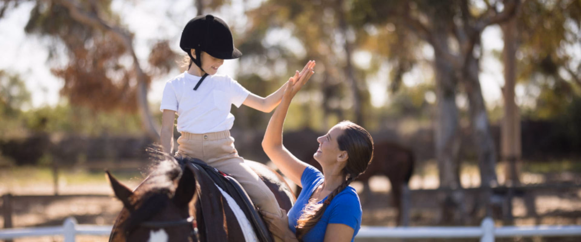 ¿Cuáles son los requisitos para ser entrenador personal?