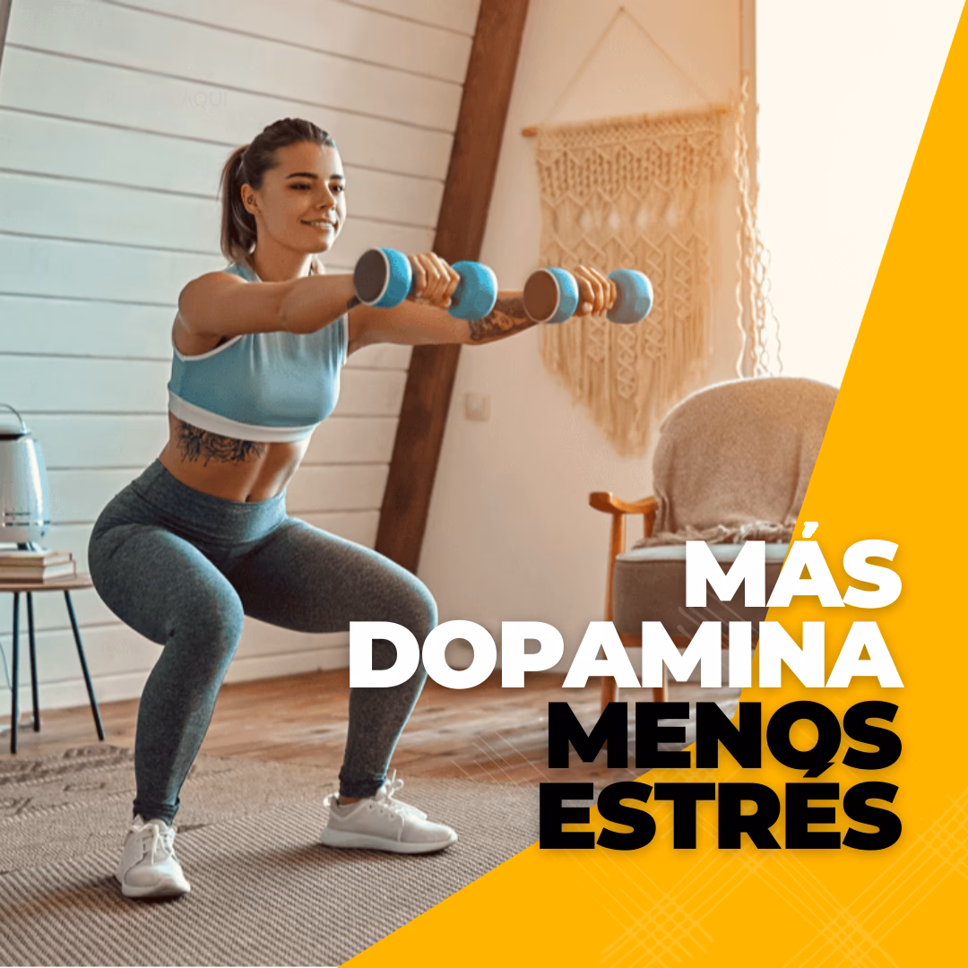 ¿Qué servicios ofrecen los entrenadores?