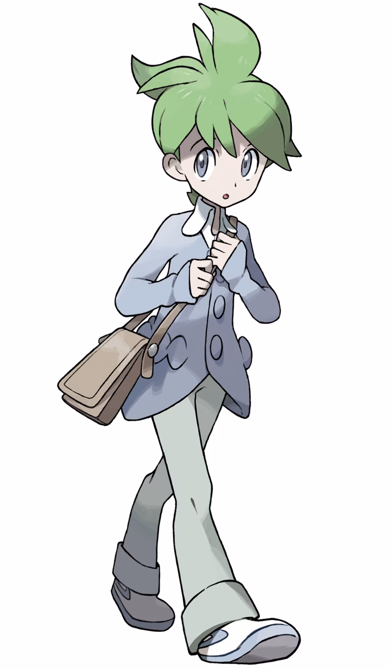 ¿Cuál es el mejor equipo para Pokémon Esmeralda?