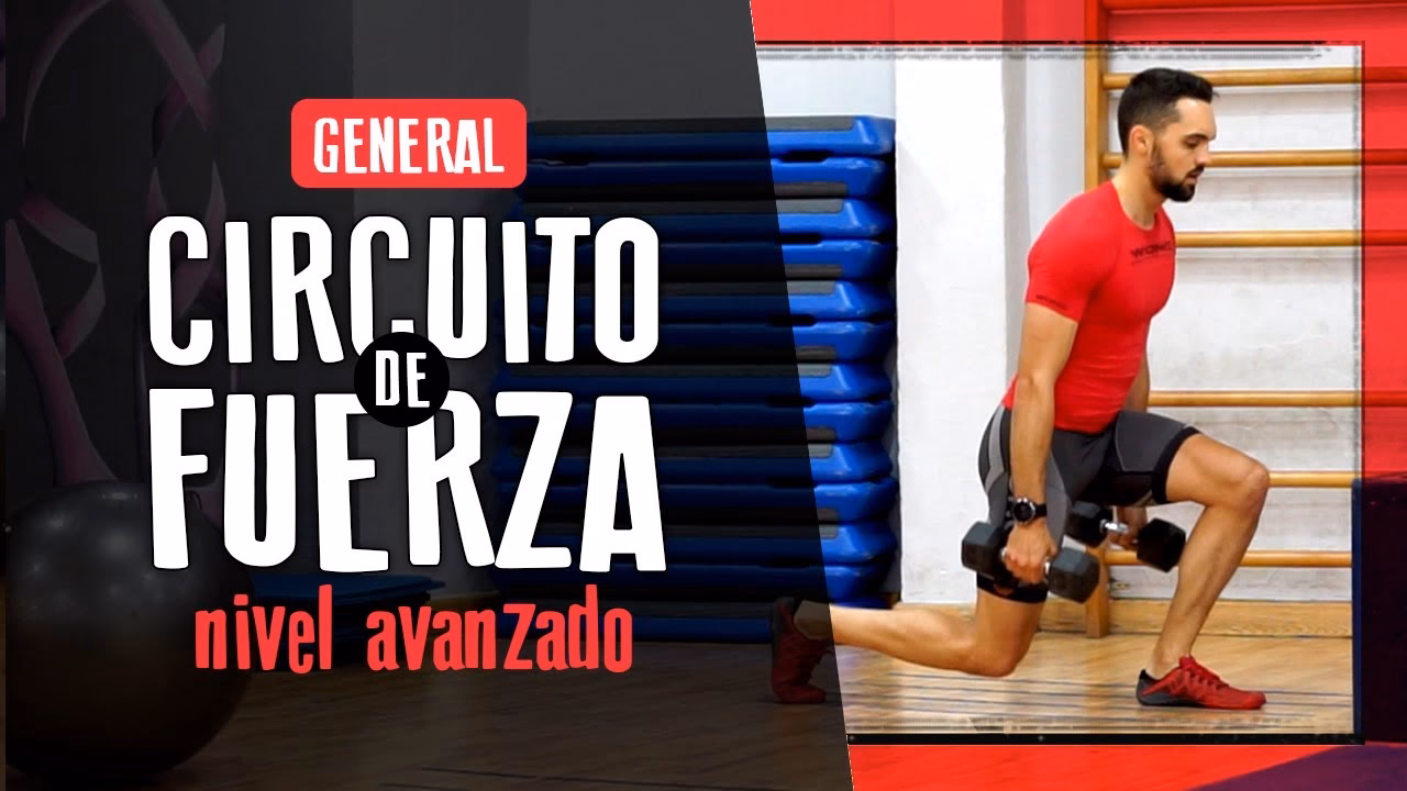 ¿Cuáles son los criterios básicos para el entrenamiento?