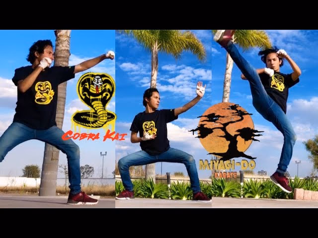 ¿Qué es el entrenamiento Cobra Kai?