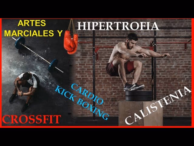 ¿Cuáles son los diferentes tipos de pesas en las artes marciales?