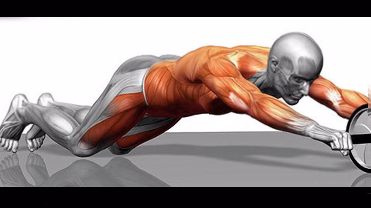 ¿Cómo mantener la espalda recta durante el ejercicio?