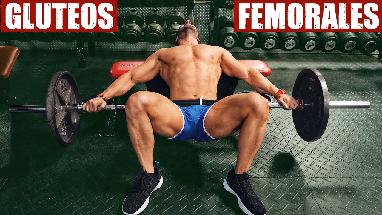 ¿Cuál es la función de los músculos femorales y glúteos?