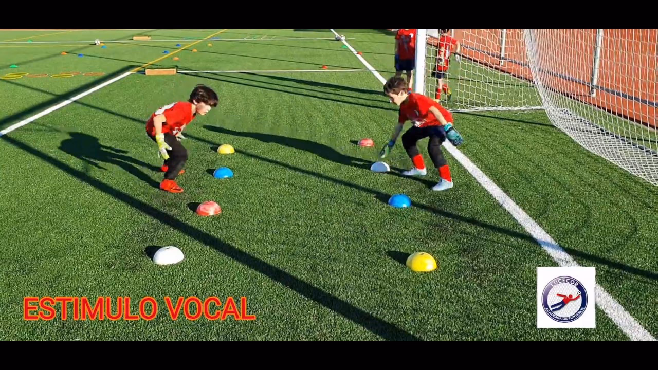 ¿Por qué Subiré las sesiones de categoría benjamín?