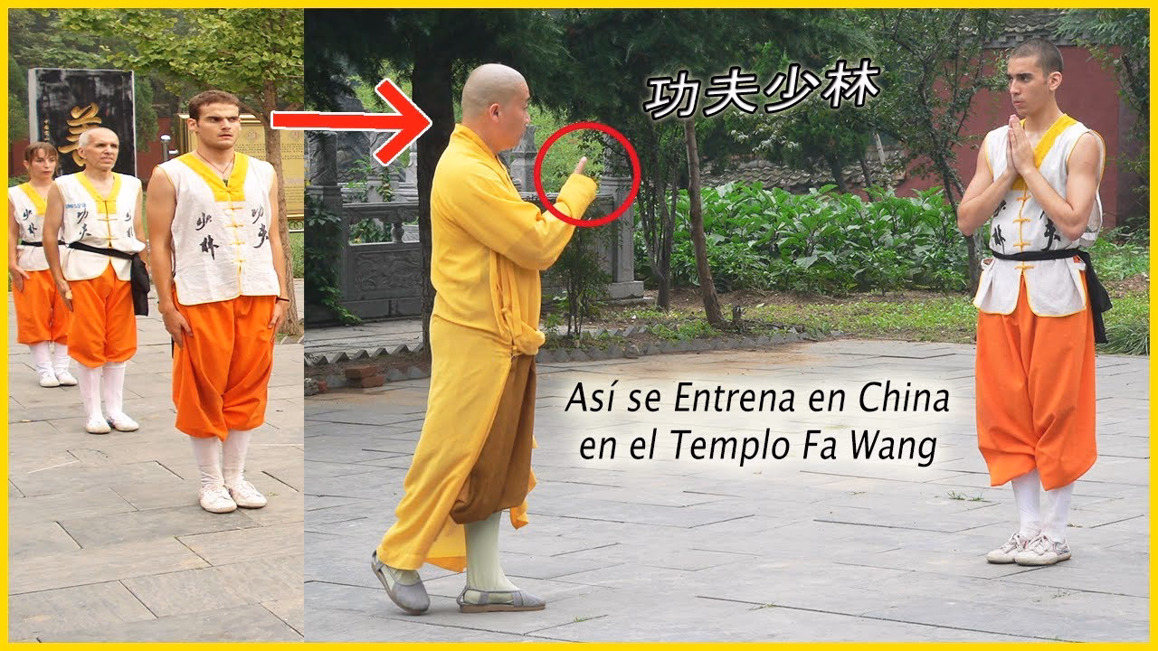 ¿Qué oportunidades ofrece el viaje anual al Templo Shaolin de China?