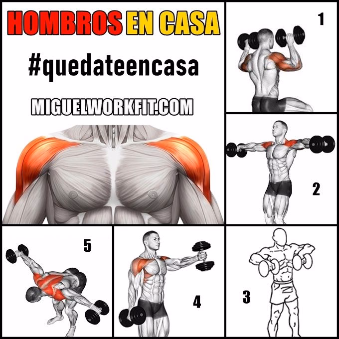 ¿Cuáles son los mejores ejercicios para la flexibilidad de hombros?