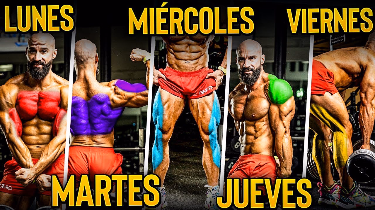 ¿Cómo se puede distribuir el trabajo de pierna?