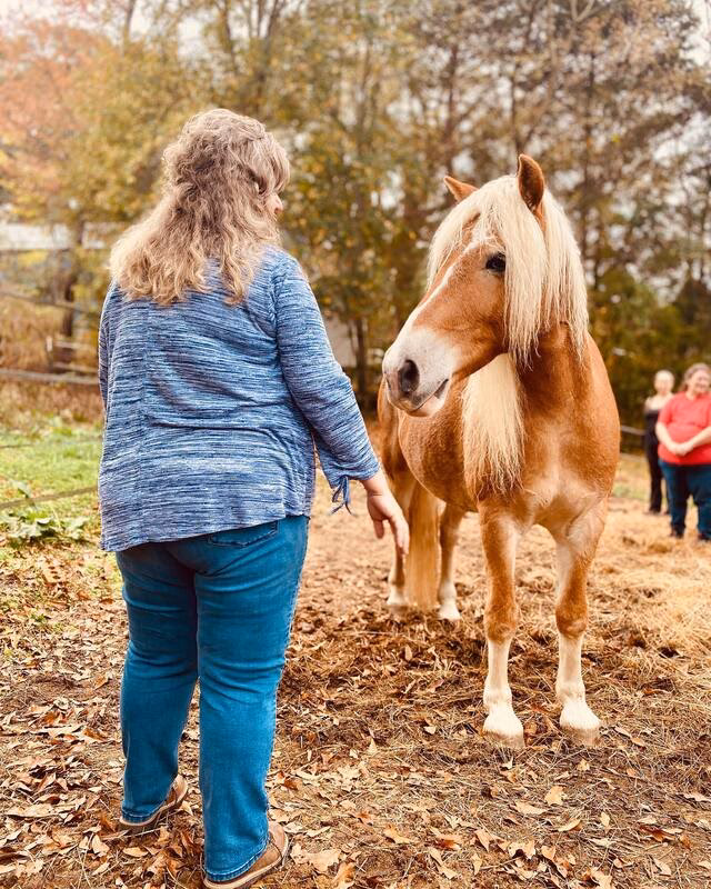 What is equine assisted learning (EAL)?