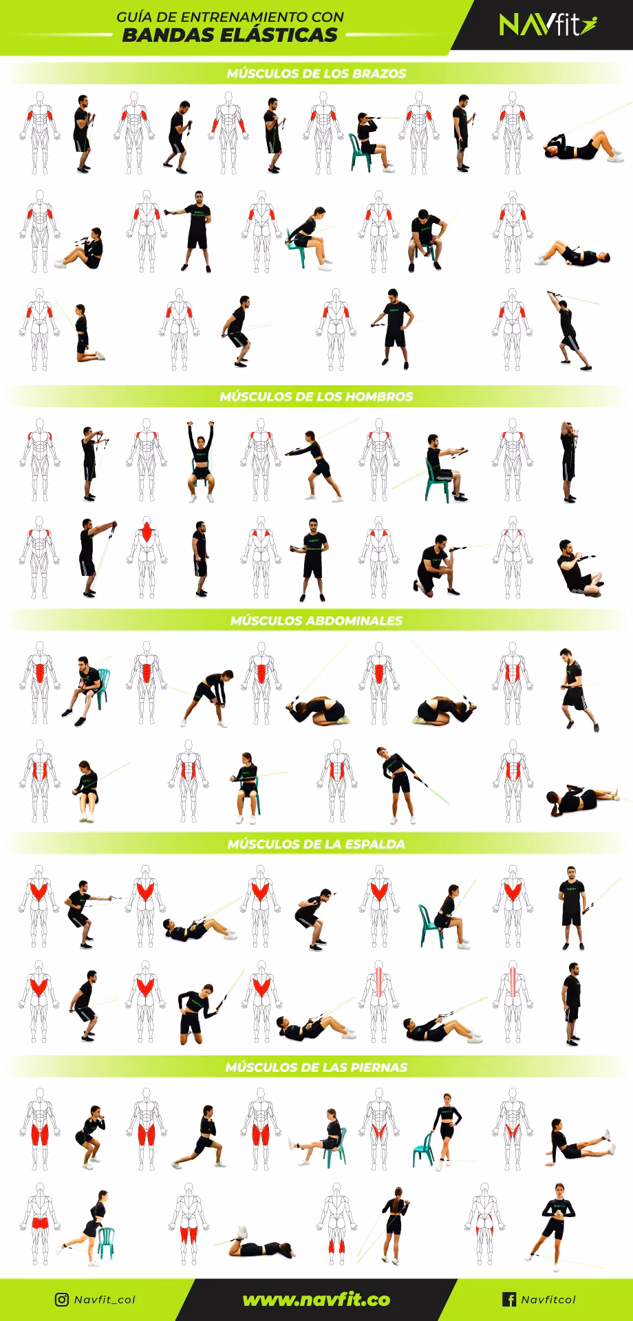 ¿Cuáles son los diferentes tipos de bandas elásticas para fitness?