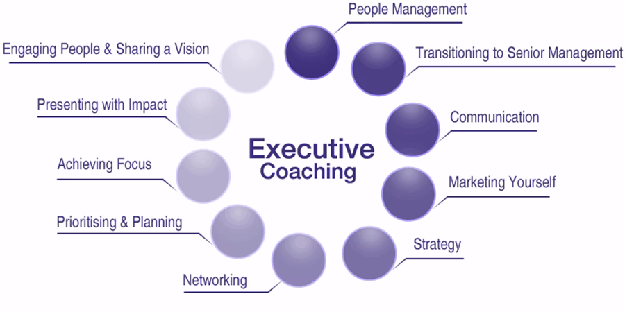 What is executive and business coaching?