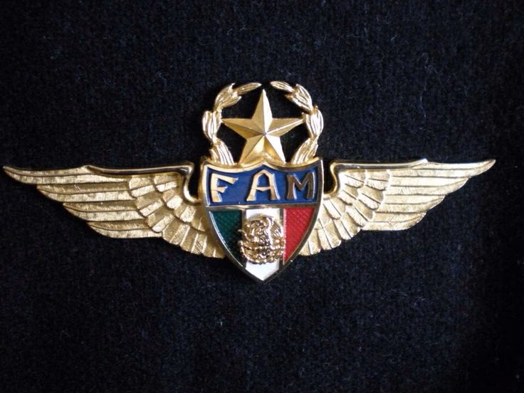 ¿Quiénes son los miembros del Ejército y Fuerza Aérea Mexicanos?