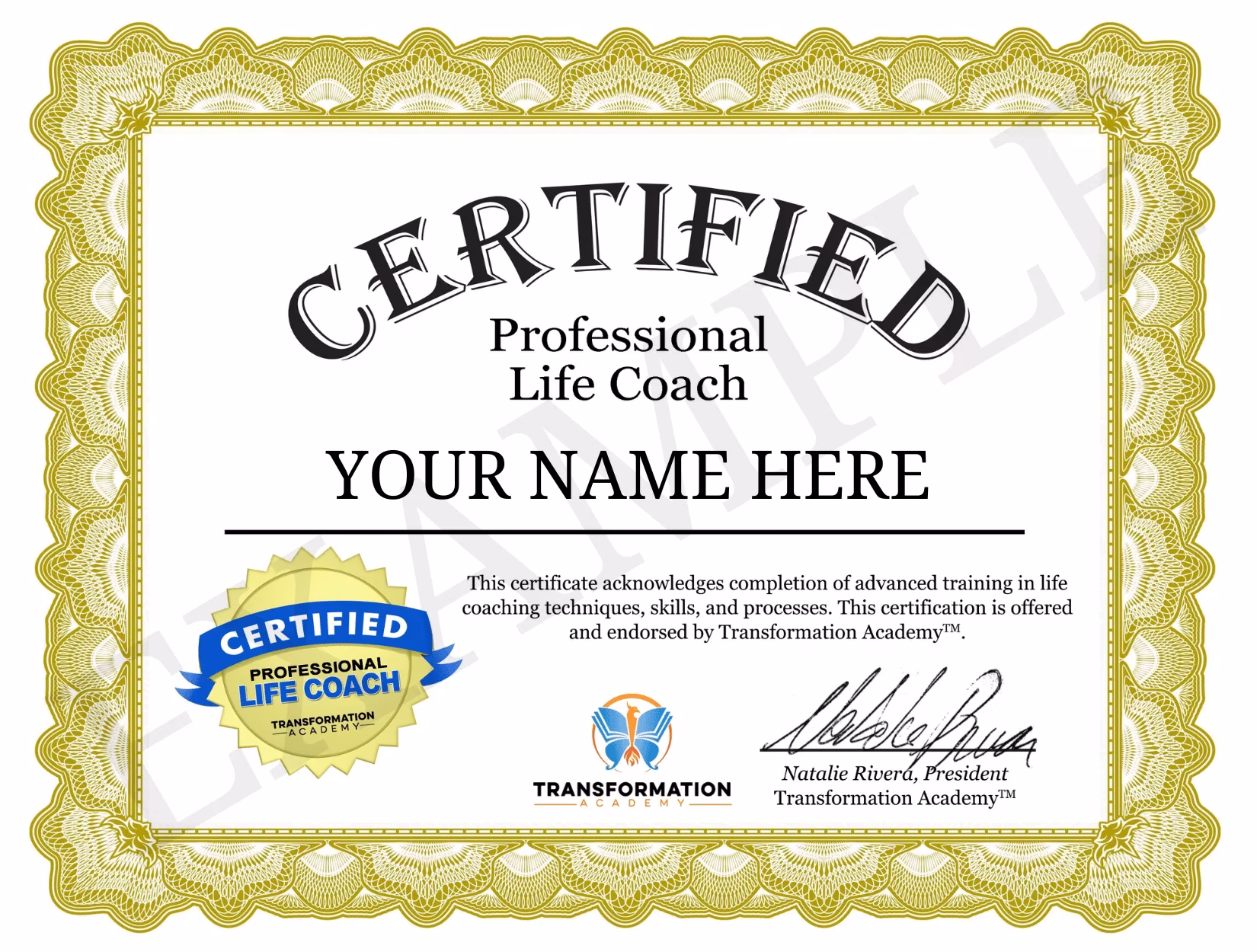 What credentials do life coaches need?