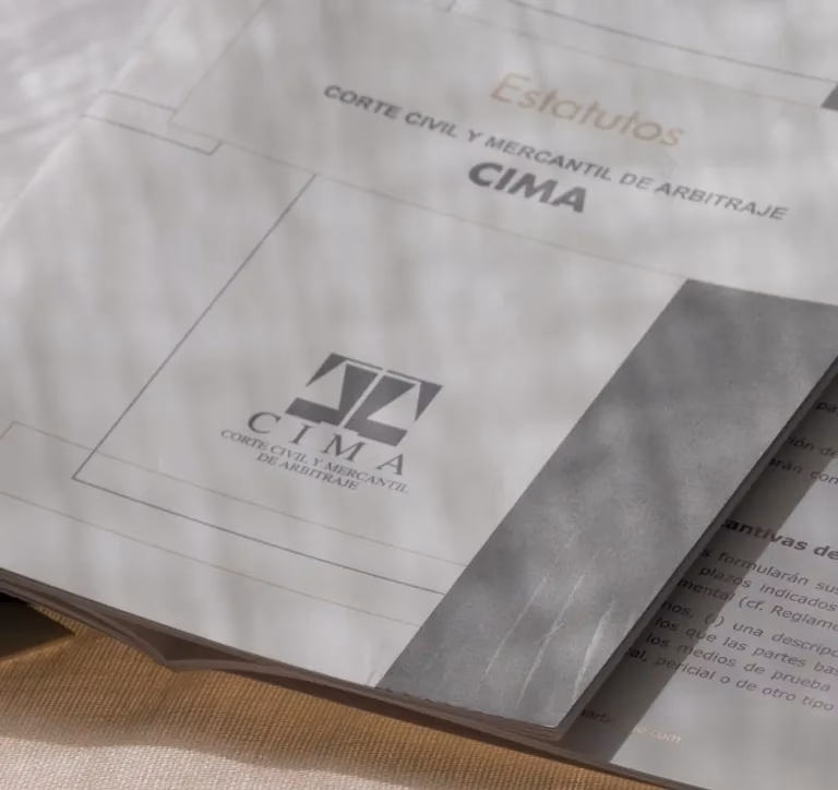 ¿Quién puede ejercer la acción de nulidad?