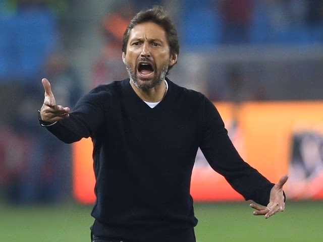 ¿Qué ofrece la red del coach?